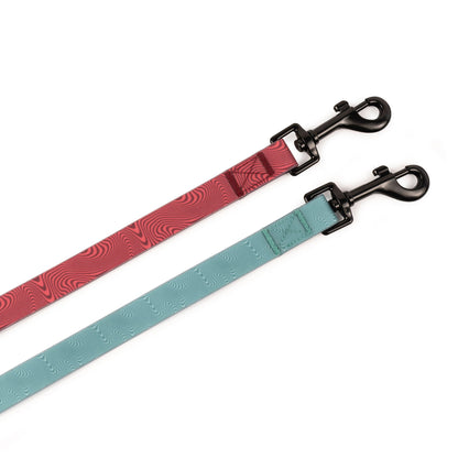 Beach Walk Convertible Pet Leash - Teal