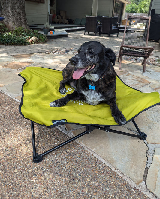 Fold & Go Pet Cot - Lime