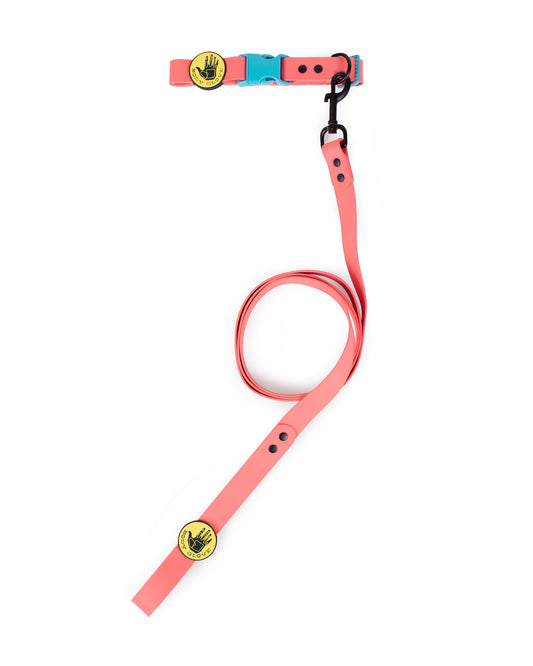 Waterproof Collar - Sunset
