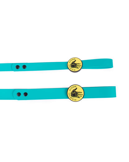 Waterproof Leash - Teal
